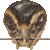Cricket thumbnail