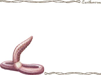 （蚯蚓）ミミズの年賀状／非商用無料イラスト