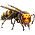 蜂（オオスズメバチ）／アイコン
