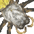 Jorō Spider thumbnail