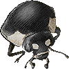 てんとうむしのあいこん