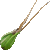 Oriental Longheaded Locust thumbnail