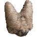 尺取虫・アイコン