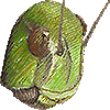 とのさまばったのあいこん