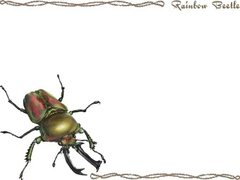 （虹色鍬形）ニジイロ クワガタ／くわがた虫の年賀状／非商用無料イラスト