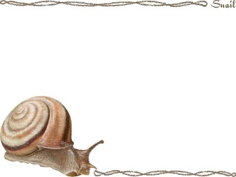 （蝸牛）カタツムリ、でんでん虫の年賀状／非商用無料イラスト