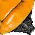 Man-faced Stinkbug thumbnail