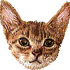 あびしにあんのあいこん