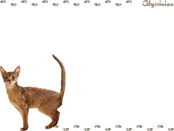 アビシニアンの年賀状／非商用無料イラスト