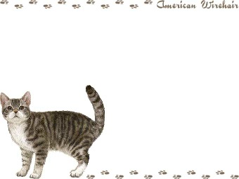 アメリカン ワイヤーヘアーの年賀状／非商用無料イラスト
