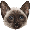 バリニーズ・あいこん