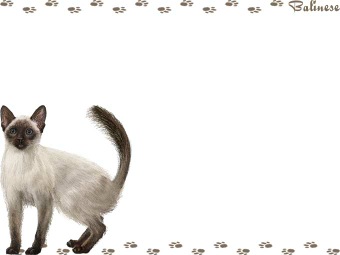 バリニーズの年賀状／非商用無料イラスト