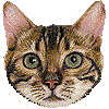 ベンガル・あいこん