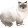 バーマン・あいこん