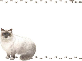 バーマンの年賀状／非商用無料イラスト
