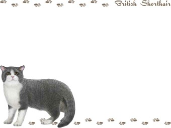 ブリティッシュ・ショートヘアーの年賀状／非商用無料イラスト