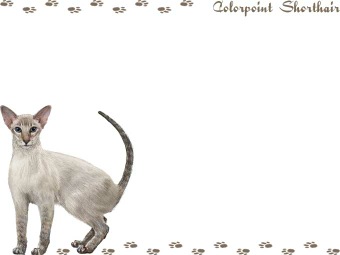 カラーポイント・ショートヘアーの年賀状／非商用無料イラスト