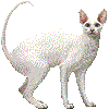 こーにっしゅれっくすのあいこん