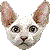 Cornish Rex thumbnail