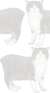 キムリックの壁紙／条件付きフリー画像