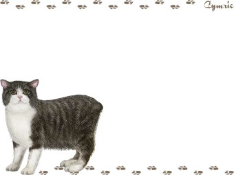 キムリックの年賀状／非商用無料イラスト