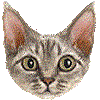 デボンレックス・あいこん