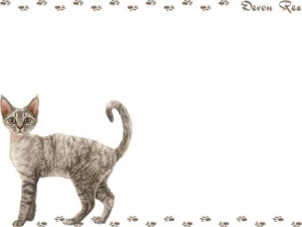 デボン レックスの年賀状／非商用無料イラスト