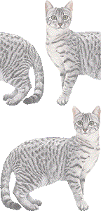 エジプシャンマウの壁紙／非営利無料イラスト