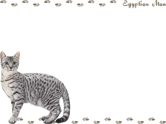 エジプシャン マウの年賀状／非商用無料イラスト