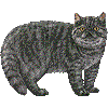 えきぞちっくしょーとへあのあいこん