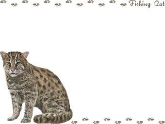 （漁猫）スナドリネコの年賀状／非商用無料イラスト