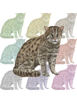 ポスカ・漁猫／条件付フリー素材