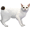 じゃぱにーずぼぶているのあいこん