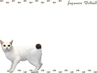 ジャパニーズ ボブテイルの年賀状／非商用無料イラスト