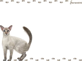 ジャバニーズの年賀状／非商用無料イラスト