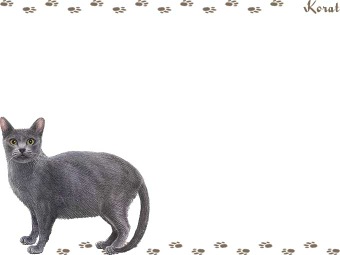 コラットの年賀状／非商用無料イラスト