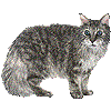 ラパーマ・あいこん