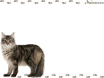 メインクーン キャットの年賀状／非商用無料イラスト
