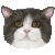 Manx thumbnail