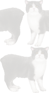 マンクスの壁紙／条件付きフリー画像
