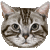 Munchkin thumbnail