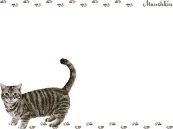 マンチカン（マンチキン）の年賀状／非商用無料イラスト