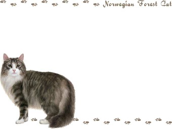 ノルウェイジャン フォレストキャットの年賀状／非商用無料イラスト