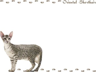 オリエンタル ショートヘアの年賀状／非商用無料イラスト