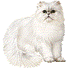 ぺるしゃねこのあいこん