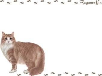 ラガマフィンの年賀状／非商用無料イラスト