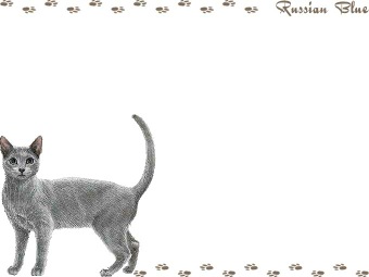 ロシアン ブルーの年賀状／非商用無料イラスト