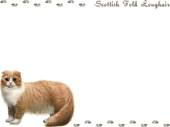 スコティッシュフォールド ロングヘアの年賀状／非商用無料イラスト