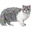 せるかーくれっくすのあいこん