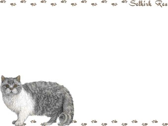 セルカーク レックスの年賀状／非商用無料イラスト